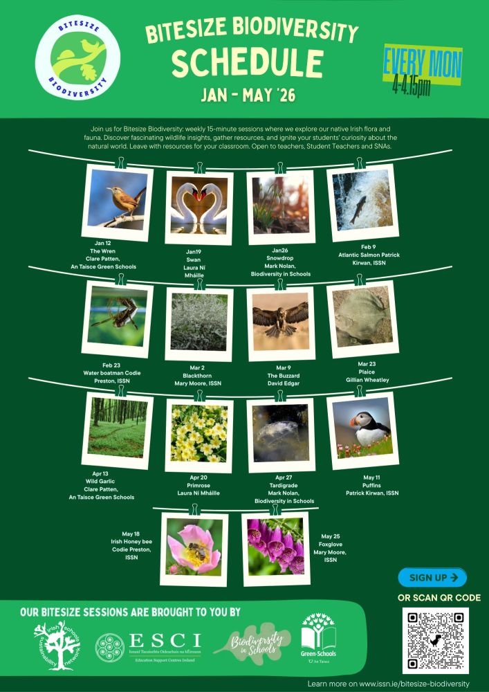 wcwspr26103 for webiste